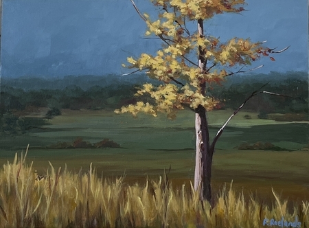 “ Evening Glow “