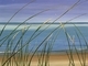 "A Glimpse Of Huron"