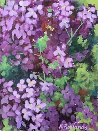 "Sun kissed Bouquet"