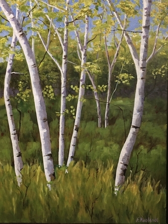 "Majestic Birches"